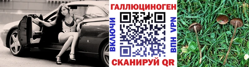 Псилоцибиновые грибы GOLDEN TEACHER  blacksprut ссылка  Константиновск 